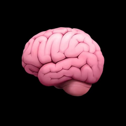 Brain Visual